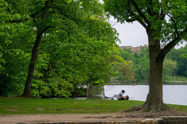 A photo of a person sitting alone in Prospect Park